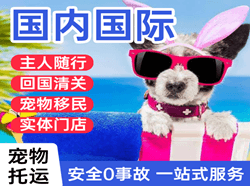 宁远机场邮寄国际宠物托运 【国